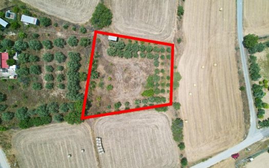 Residential field in Pera, Nicosia