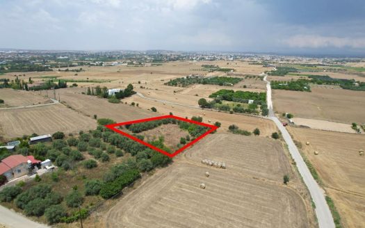 Residential field in Pera, Nicosia