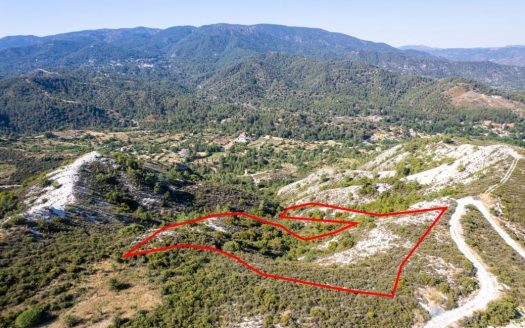 Agricultural field in Pera Pedi, Limassol