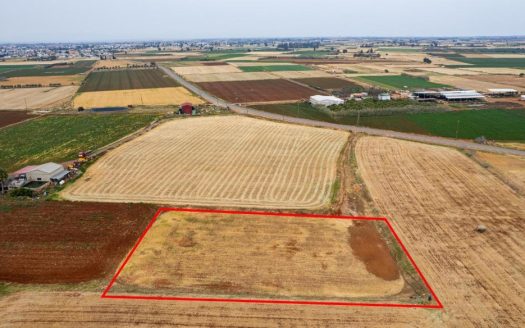 Agricultural field in Avgorou, Famagusta
