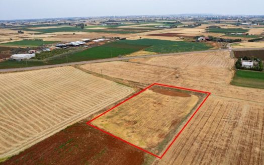 Agricultural field in Avgorou, Famagusta