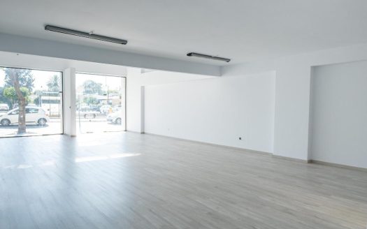 Office in Agioi Omologites, Nicosia