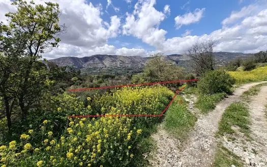 Limassol Property Field in Laniea-4.683 m2