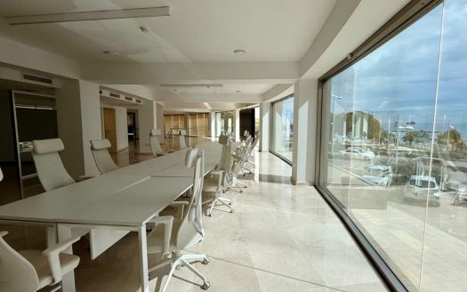 Limassol Property Modern Commercial Space