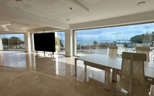 Limassol Property Modern Commercial Space